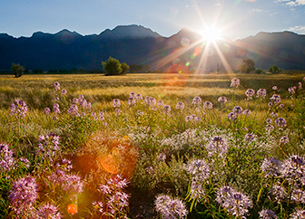 E-Vam Meditation Retreat in Crestone, CO