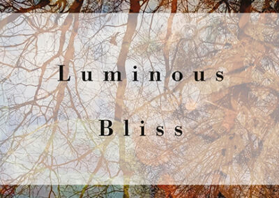 Luminous Bliss by Traleg Kyabgon