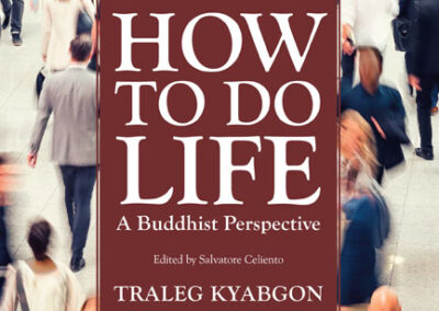 How To Do Life: A Buddhist Perspective