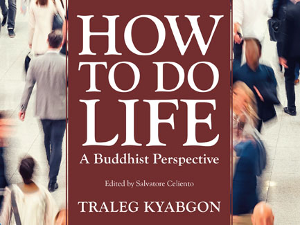 How To Do Life: A Buddhist Perspective